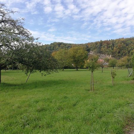 Ferienwohnung Am Bach Rheinfelden  Dış mekan fotoğraf